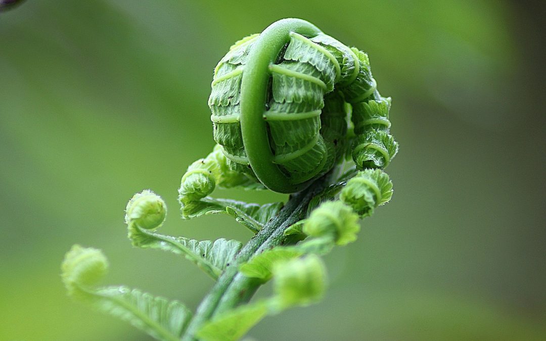 Prozess anstoßen – Kreatives Problemlösen (2)